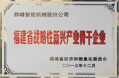 福建省新兴战略骨干企业